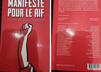 قراءة في بيان من أجل الريف، خطوة الديسبورا