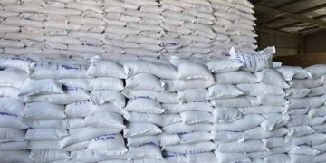 الحسيمة: معاناة الفلاحين مع “الشعير المدعم” تعود الى الواجهة