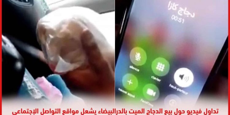 النيابة العامة تدخل على خط فيديو بيع الدجاج النافق