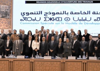 لمحة حول الأرقام الرئيسية للتقرير العام للجنة الخاصة بالنموذج التنموي