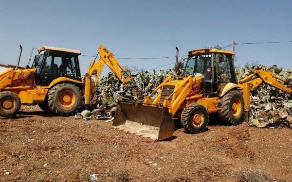 مجهودات مكثفة ل”أونصا” للقضاء على الحشرة القرمزية بإقليم الحسيمة