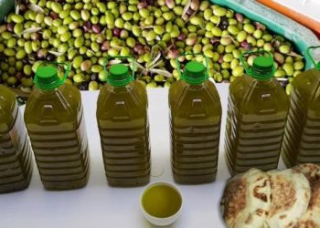 الحكومة تخضع تصدير زيت الزيتون للترخيص المسبق