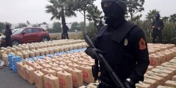 تقرير: انخفاض المساحات المزروعة بالقنب الهندي في المغرب