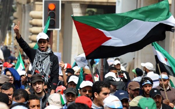 امزورن: إيقاف مقيم ببلجيكا رسم العلم الفلسطيني على سيارته