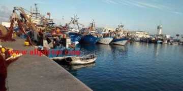 مهنيو قطاع الصيد ببني أنصار ينتظرون الدعم منذ أزيد من سنة