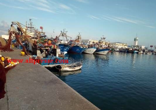 مهنيو قطاع الصيد ببني أنصار ينتظرون الدعم منذ أزيد من سنة