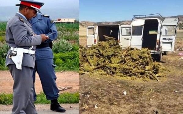 ضبط حوالي نصف طن من الكيف على متن سيارة نقل نواحي الحسيمة