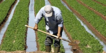 الأمطار تنعش آمال الفلاحين المنهكين بالجفاف