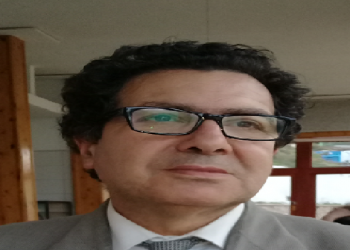 قصيدة: نخلة