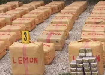 حجز كمية مهمة من مخدر الشيرا معدة للتهريب الدولي