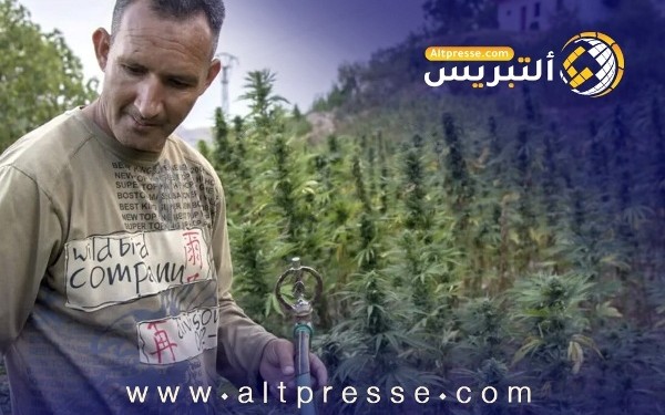 مجلس النواب يصوت بالأغلبية على تقنين الكيف