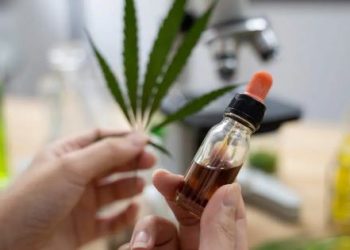 الحسيمة: عرض منتوجات القنب الهندي يضع غرفة الصناعة التقليدية  في دائرة الخرق