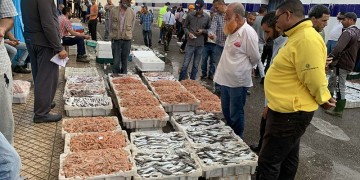 مهنيو تجارة السمك بالجملة ببني أنصار يستأنفون نشاطهم
