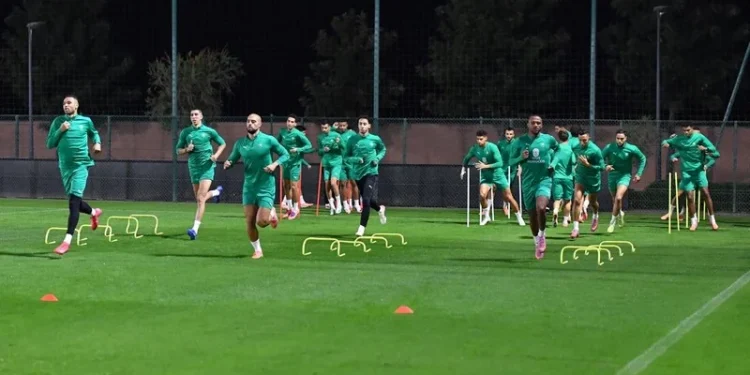 غيابات في أول حصة تدريبية للأسود