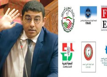 هيئات وجمعيات ناشرة: مرسوم دعم القطاع تحكمه سوء النية وجاء لإرضاء الكبار