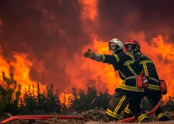 حريق ضخم يجتاح غابة “مونتي لا بينيا” بطريفة ويؤدي إلى إخلاء فنادق ومواقع تخييم