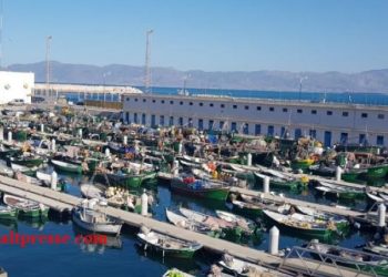 الصيد التقليدي…توحيد الدفتر البحري يدخل حيز التنفيذ