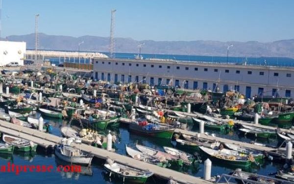 الصيد التقليدي…توحيد الدفتر البحري يدخل حيز التنفيذ