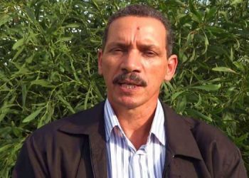 أحزاب بسرعات متباينة