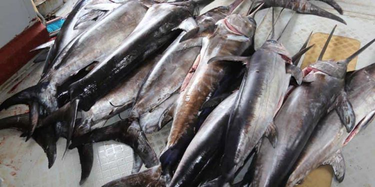 في زمن كورنا: " أبو سيف " أهم من سلامة البحارة !!!!!