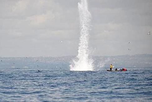 استمرار التحقيق في المتفجرات المستعملة في الصيد ومصدرها