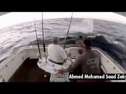 نجاة صياد بأعجوبة هاجمه سمك أبو سيف