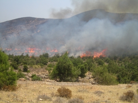 حريق مهول بغابة القرن بتمسمان والسكان يطالبون بإخماده قبل أن يصل لمنازلهم