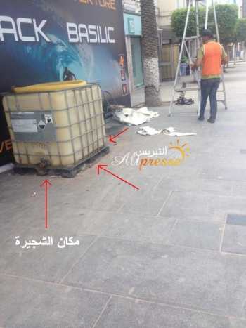 صاحب فندق بشارع عبد الكريم الخطابي بالحسيمة يقطع شجرة في جنح الليل