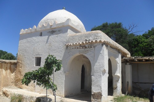 مؤسسة الفكر والحوار تنظم زيارة للولي الصالح سيدي بوداود