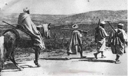 إصدار كتاب جديد حول المقاومة الريفية