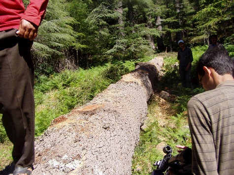 البيئة والتمنية المستدامة في جهة الريف محور أشغال دراسية بطنجة