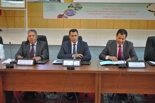 حول واقع وآفاق تثمين النباتات العطرية والطبية بجهة الحسيمة