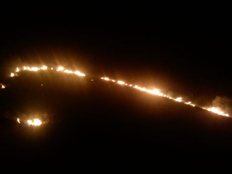 حريق يأتي على مساحات واسعة من الغطاء النباتي بدوار تساسنت (فيديو)