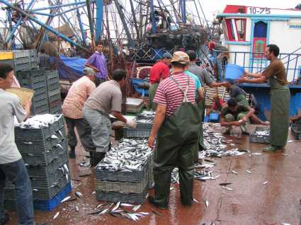 نقابة تناقش في اجتماعها مشاكل الصيد البحري وسبل تجاوزها