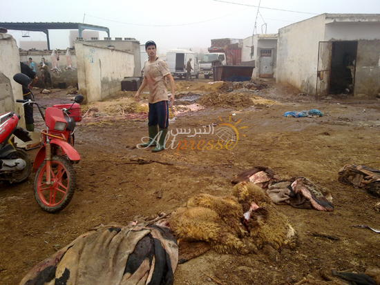 وضعية كارثية ومتردية بمجزرة الحسيمة