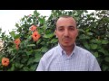 مهاجر يتهم عصابة بقطع الأشجار نواحي كتامة