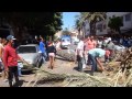 سقوط نخلة كبيرة هرمة وسط مدينة الحسيمة