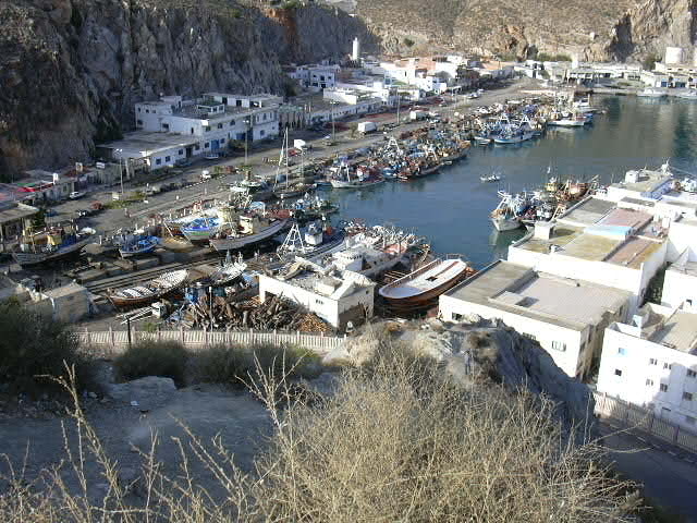 تجديد مكتب جمعية أرباب مراكب الصيد بميناء الحسيمة