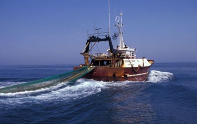 جمعية بيئية تعارض تقليص مسافات الصيد بالبحر المتوسط