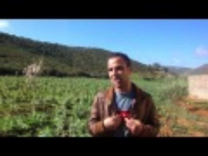 شاب يشرح دواعي ثورة فلاحي بني جميل