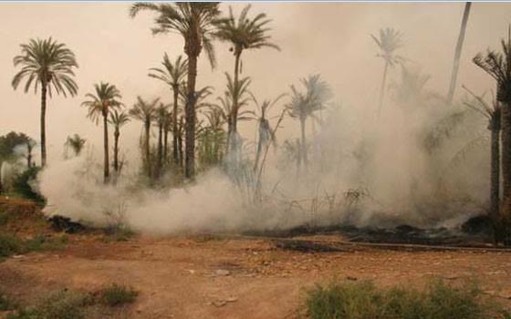 حريق مهول يلتهم غابة نواحي الحسيمة