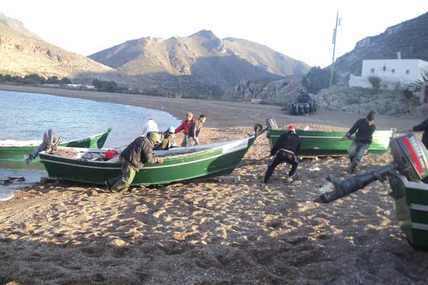 المغرب يتبادل الخبرة حول مصايد الأسماك الصغيرة