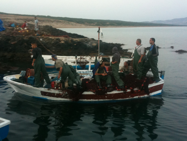 الصيد بالمتفجرات يقضي مضجع المهنيين بميناء الحسيمة