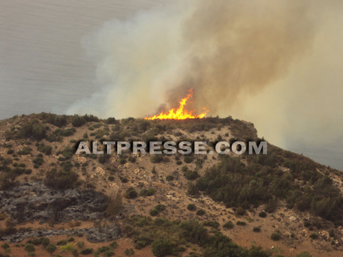 نيران تأتي على 10 هكتار من الغابة بمنتزه الحسيمة