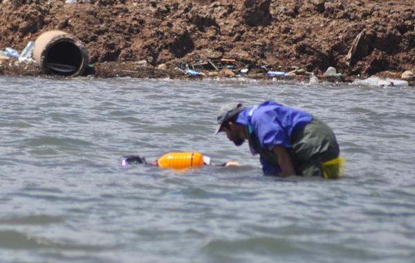 منع جمع وتسويق الصدفيات ثنائية الصمام بشفشاون وتطوان