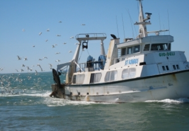 الاسبان يعودون للصيد بالمياه المغربية