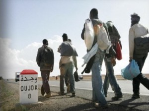 من باماكو إلى وجدة لاجئون ماليون رفضوا الموت الرخيص