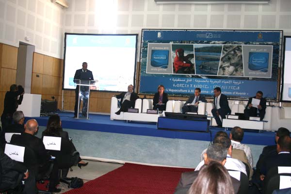 استزراع الأسماك بالحسيمة مشروع اقتصادي