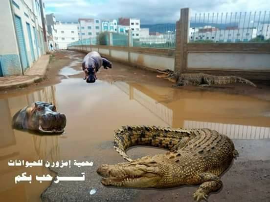 فايسبوكيون يسخرون من حالة الطرق بمدينة امزورن أثناء الأمطار