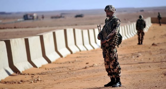الجيش الجزائري يقتحم الحدود ويحجز 15 بقرة
